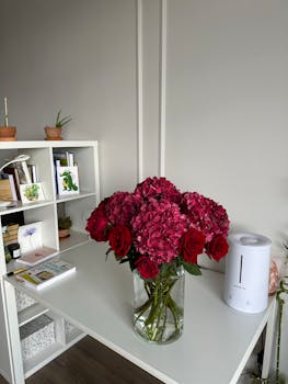 Best Air Purifying Plants: NASA-Approved Indoor Air Cleaners