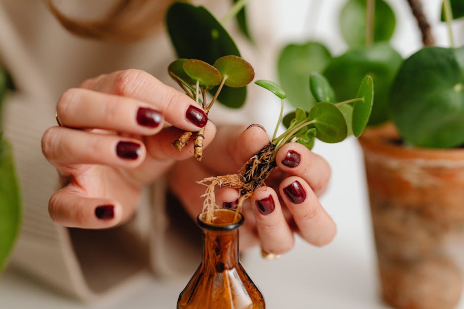 Plant Propagation Guide: How to Multiply Your Houseplants