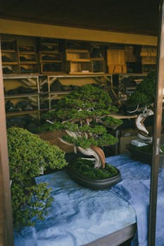 Slow Plant Growth Guide: Diagnosis and Solutions for Stunted Houseplants