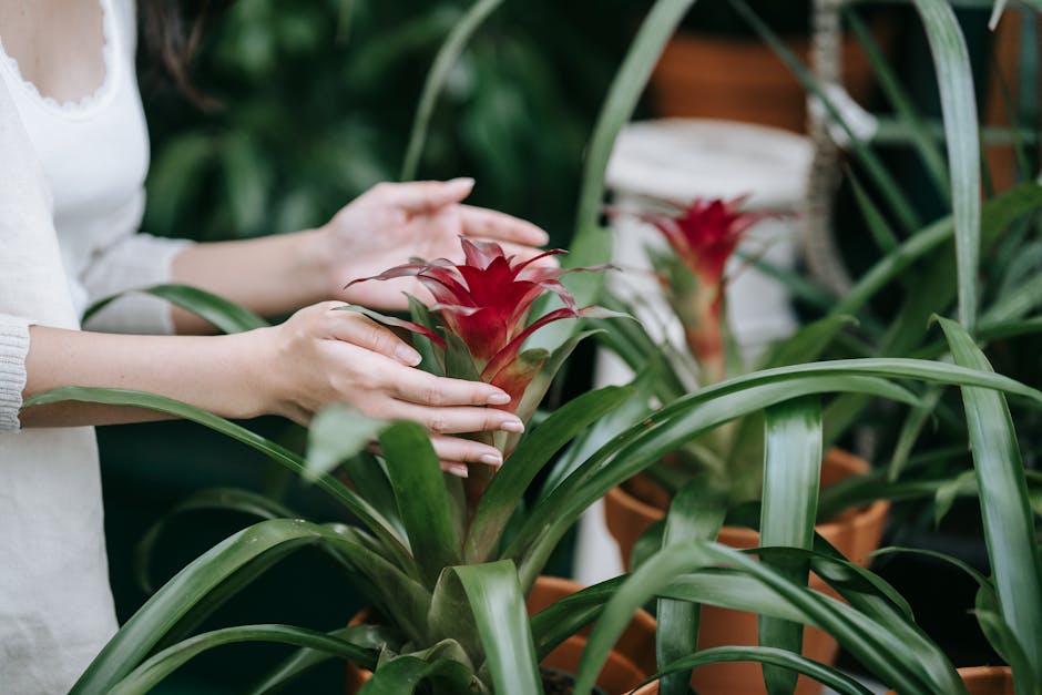 Spring Plant Care Guide: Preparing Your Houseplants for Growing Season