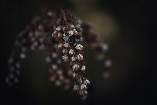 Plant Wilting and Drooping Guide: Diagnosis and Treatment for Droopy Plants