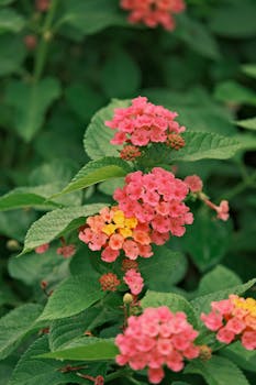 Yellow Leaves on Houseplants: Complete Diagnosis and Treatment Guide