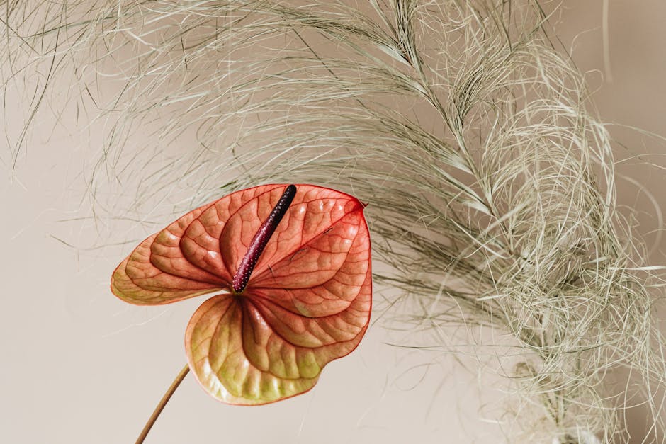 Why Are My Plant Leaves Turning Yellow?