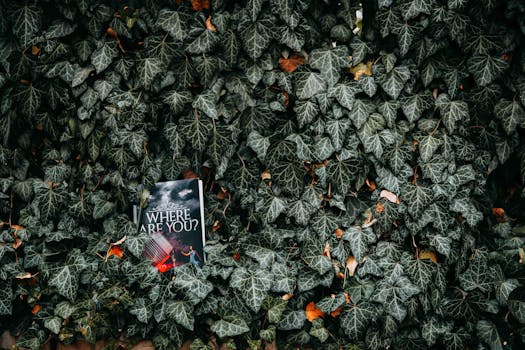 English Ivy Care Guide: Complete Instructions for Hedera Helix