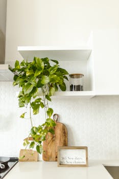 Pothos Care Guide: Complete Instructions for Epipremnum Aureum