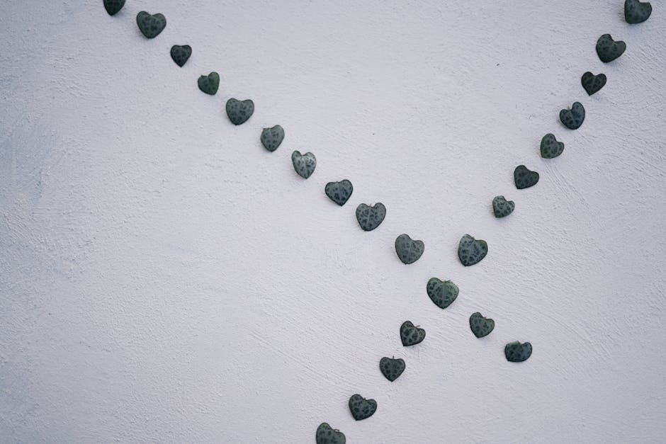 String of Hearts Care Guide: Complete Ceropegia woodii Instructions