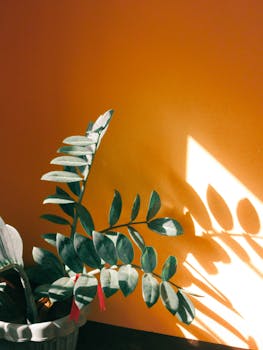 ZZ Plant Care Guide: Complete Instructions for Zamioculcas Zamiifolia